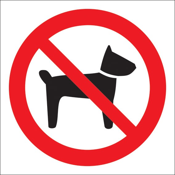 Р14 Запрещается вход с животными